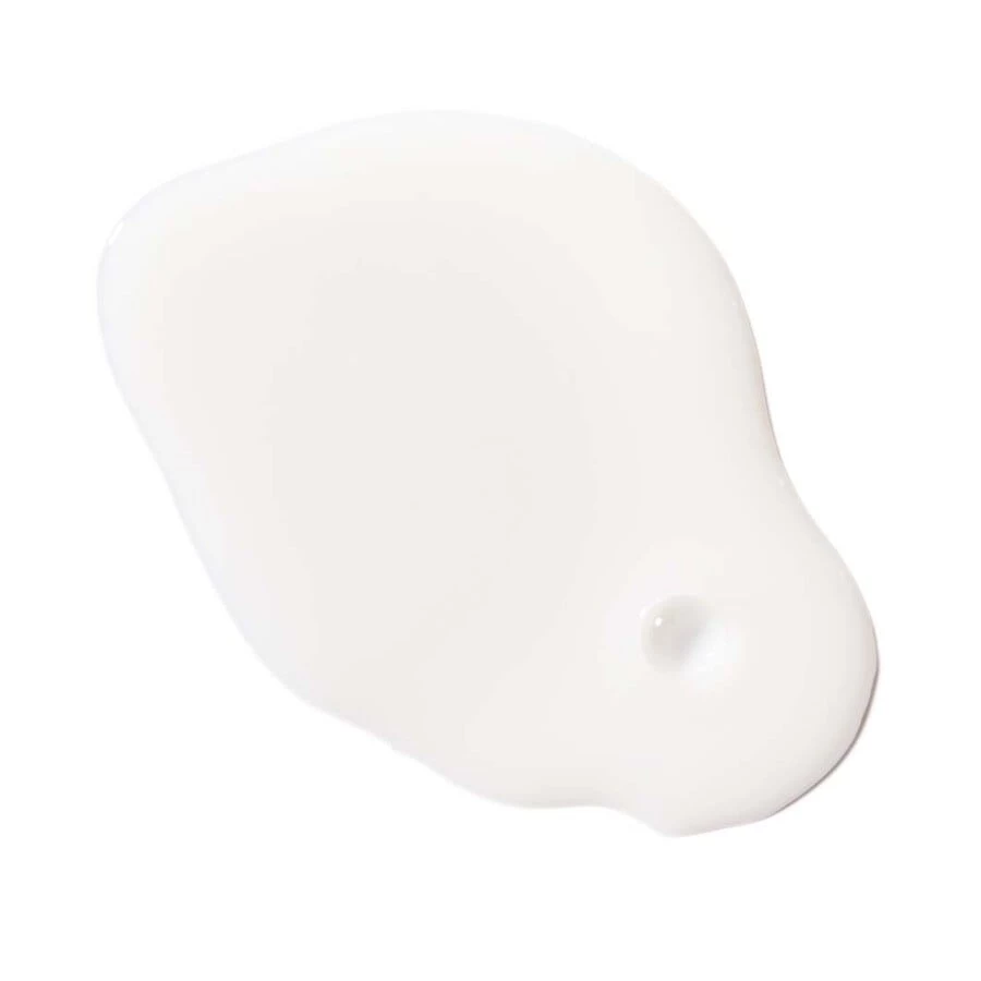 Kiehl's Rare Earth Pore Refining Tonic Tonico Viso 4 Kiehl's Rare Earth Pore Refining Tonic Tonico Viso - immagine 4